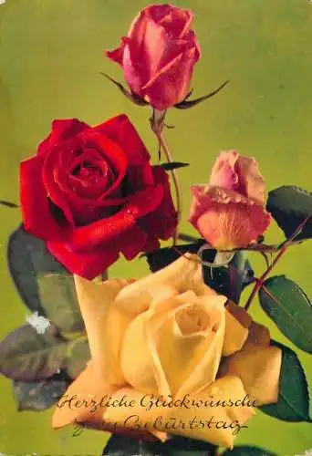 Postcard flower Germany rose flower