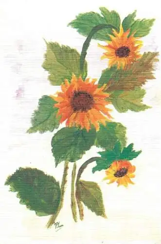 Postcard flower Netherland P. de Leur