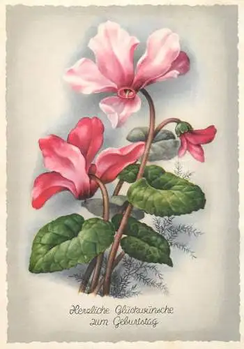 Postcard flower Germany Herzliche Gluckwunsche zum Geburtstag