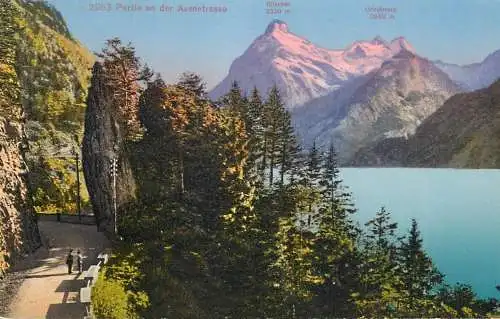 Switzerland Partie an der Axenstrasse
