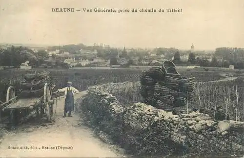 France Beaune vue generale prise du chemin du Tilleul