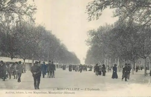 France Montpellier L'Esplanade