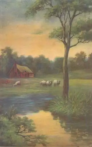 Postcard animal sheep painting