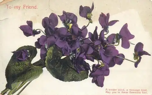 Postcard holiday card birthday wishes to my friend flower