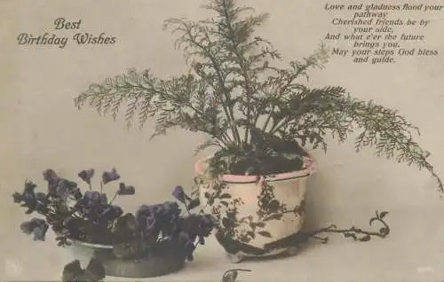 Postcard holiday card best birthday wishes plant pot