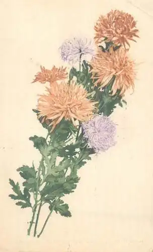 Postcard greetings card flower bouquet 1915