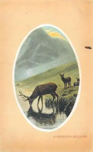 Postcard animals a highland solitude deer stag UK