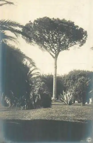 Italy Roma giardino