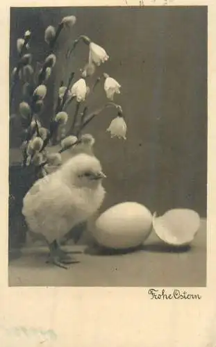 Easter greetings blossom willow branch, lily of the valley, eggshell and chicken