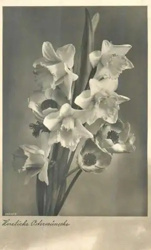 Warm Easter Wishes gladiolus bouquet