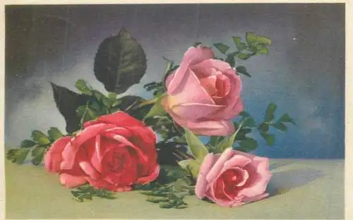 Roses bouquet