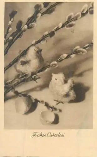 Easter greetings blossom willow branch toy chicken eggshell