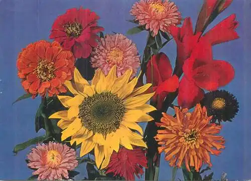 Colourful floral arrangement
