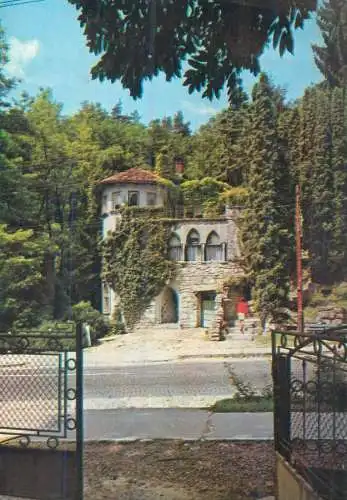 Romania Calimanesti Vila Florilor