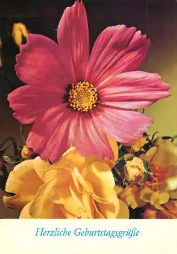 Postcard flowers Herzliche Geburtstagsgrube pink and yellow flower