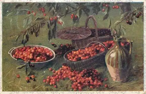 Postcard painting 1921 still nature with cherries