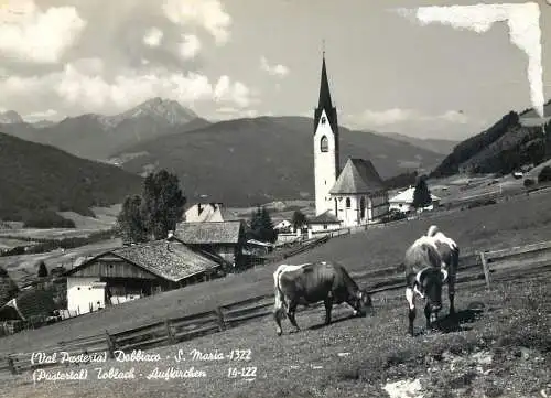 Postcard Italy Val Pusteria Dobbiaco S Maria