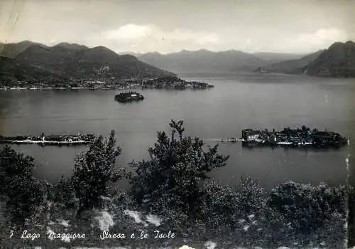 Postcard Italy Lago Maggiore stresa e le isole
