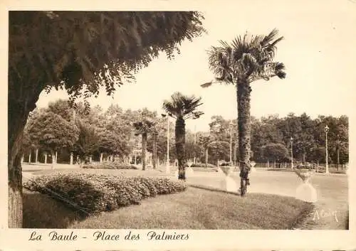 Postcard France La Baule place des Palmiers