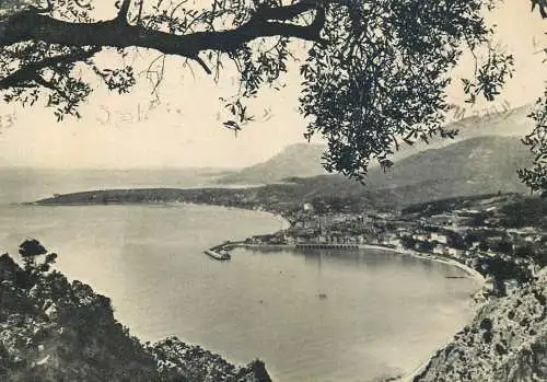 Postcard France Alpes Maritimes > Menton 1950