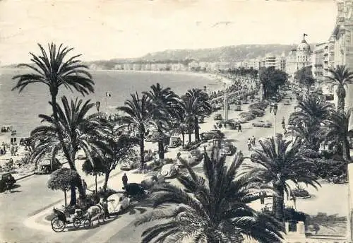 Postcard France Alpes Maritimes > Nice 1955