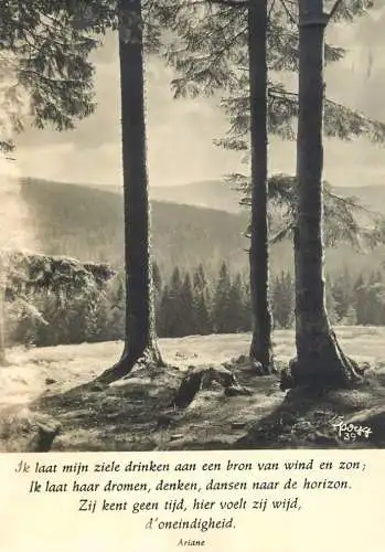 Postcard Belgium Ariane poem and forest scene