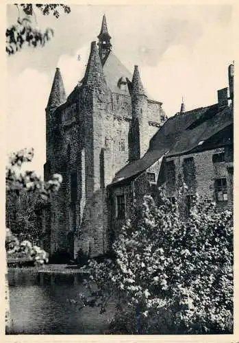 Postcard Belgium chateau Feodal de Laerne