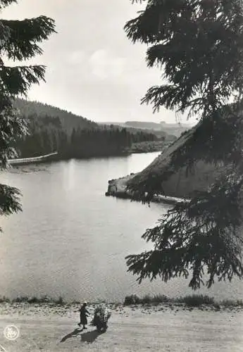 Postcard Belgium Neufchateau le lac bains