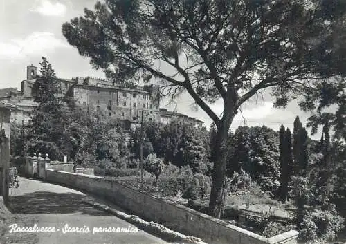 Postcard Italy Roccalvecce scorcia panoramica