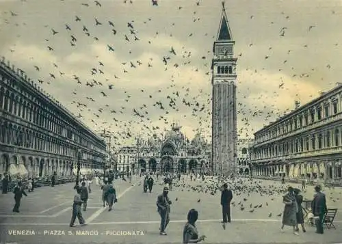 Postcard Italy Venice Piazza S. Marco Piccionata
