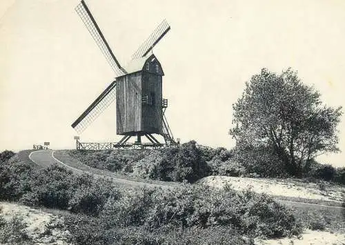Postcard Belgium Coxyde s Mer le vieux Moulin