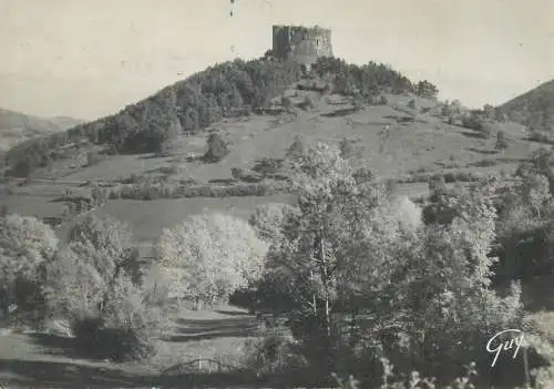 Postcard France Puy-de-Dôme Murols les ruines du chateau feodal