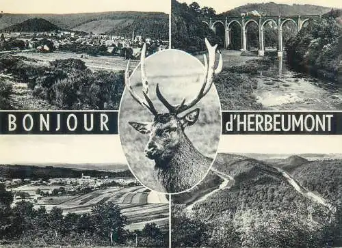 Postcard Belgium bonjour d'Herbeumont