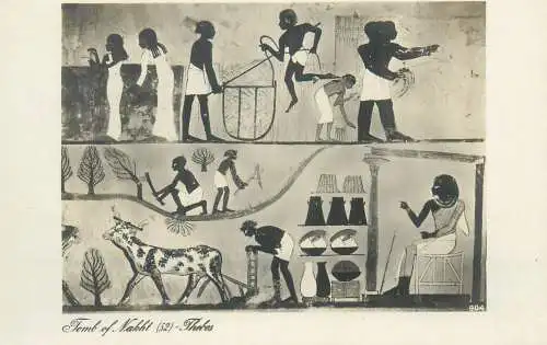Postcard Egypt Tomb of Nakht Thebes