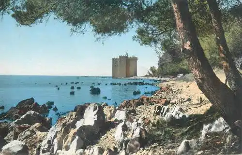 Postcard France Cannes Ile St. Honorat Alpes Maritimes
