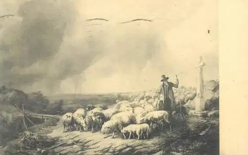 Postcard greetings card painting E. J. Varboeckoven troupea de moutons surpis par un orage