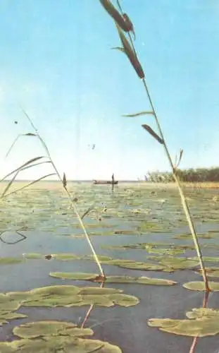 Romania imagine din Delta Dunarii