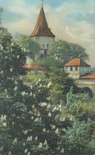 Postcard greetings card paintings village scene