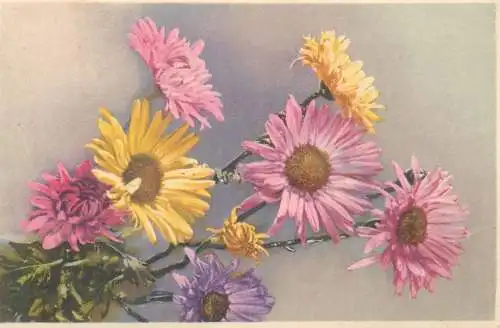 Postcard greetings card flower