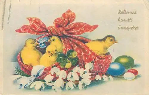 Postcard greetings card Easter scene chicken and eggs