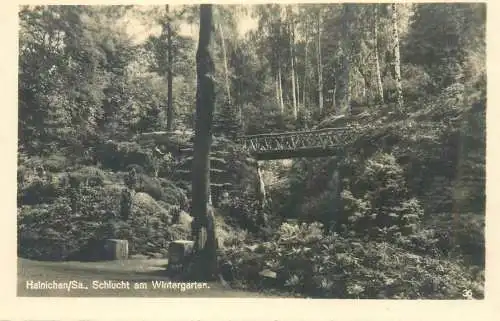 Germany Hainichen Schlucht am Wintergarten