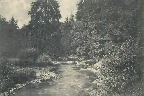 Germany water stream picturesque natural landscape place to identify