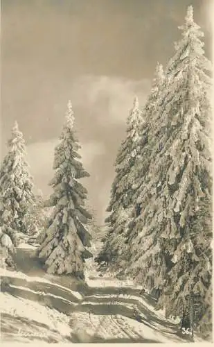 Germany Wintersonne im Schwarzwald