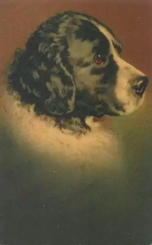 Wenau-Pastell drawn dog 1917