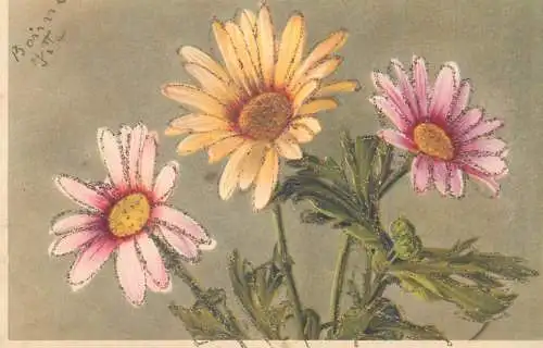 Daisies flower bouquet detail aspect
