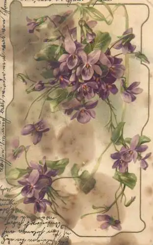 Violets floral motif
