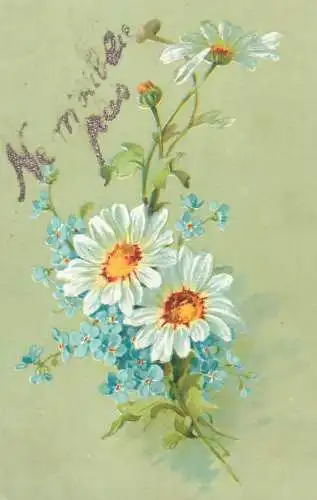 Daises colourful floral arrangement Ne m'oublie pas