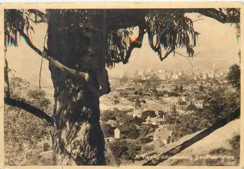 Postcard South Africa Johannesburg from Observatory