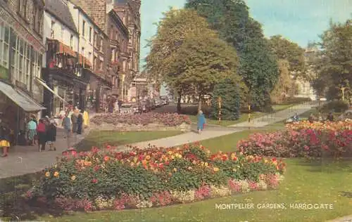 Postcard UK England Harrogate Montpelier gardens