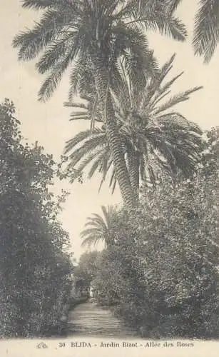 Postcard Morocco Jardin Bizot as known by most locals in Blida